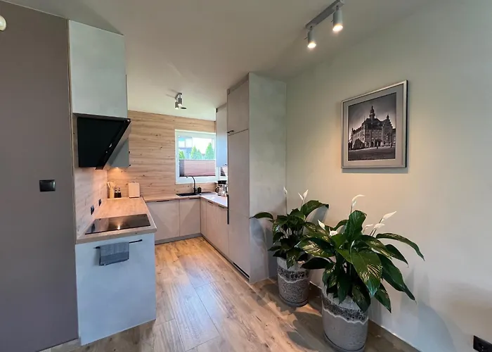 Dom Sielanka Βίλα *